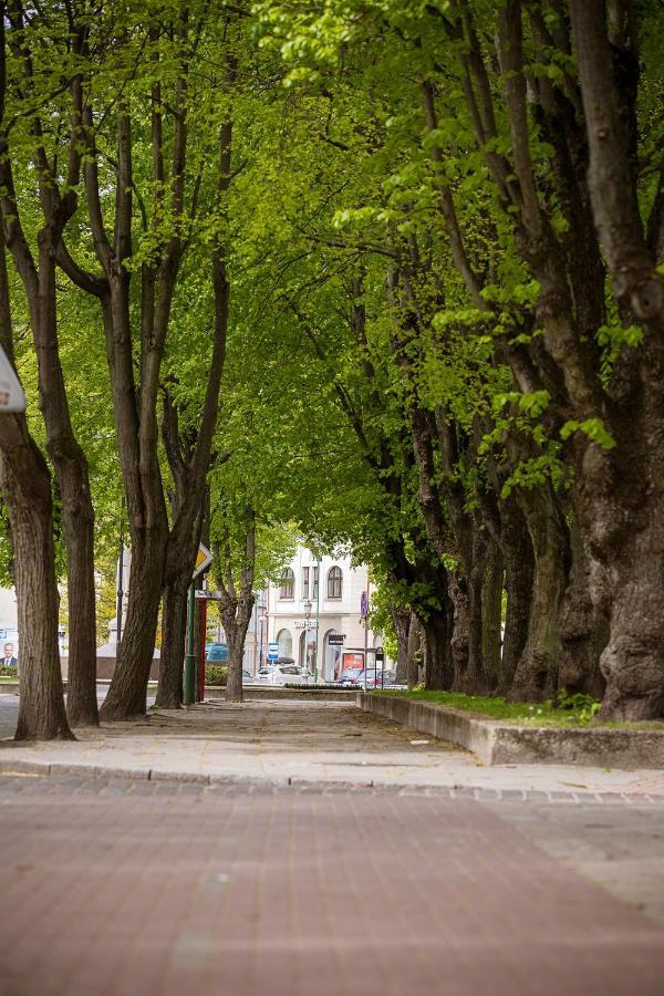 Dvieju Kambariu Butas Klaipedos Centre Daire Klaipėda Dış mekan fotoğraf